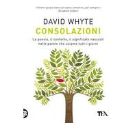 Consolazioni. La poesia, il conforto, il significato nascosti nelle parole che usiamo tutti i giorni