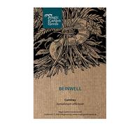 Consolida maggiore (Symphytum officinale) - circa 30 semi