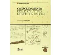 Consolidamento delle strutture lignee con l'acciaio. Con CD-ROM