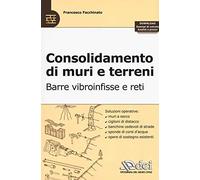 Consolidamento di muri e terreni. Barre vibroinfisse e reti. Con esempi di calcolo, analisi e prezzi