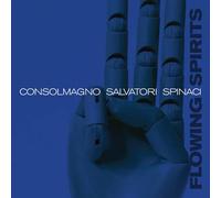 Consolmagno, Salvatore - Flowing Spirits