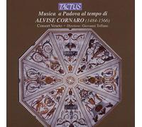 Consort Veneto - Musica A Padova