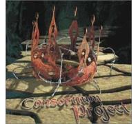 Consortium Project - Consortium Project + 2