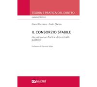 Consorzio stabile dopo il nuovo codice dei contratti pubblici