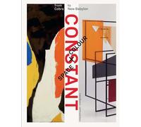 Constant: Space + Colour - from Cobra to New Babylon