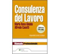 Consulenza del lavoro 2013