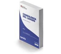 Consulenza del lavoro. Manuale pratico - AA.VV.