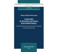 Consumo di risorse naturali non rinnovabili. Tra diritti della natura, bilanciamento di interessi e tutela giurisdizionale