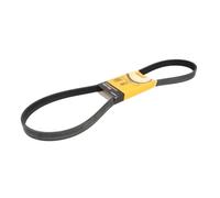 CONTINENTAL CTAM Cinghia Poly-V 6PK1240 ELAST