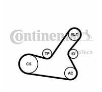 CONT ITech 6pk1564 K2 cinghia trapezoidale Set