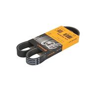ContiTech Cinghia Poly-V 6PK926 EXTRA