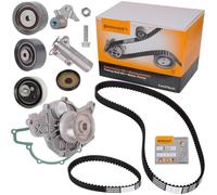 Kit distribuzione + pompa acqua CT1015WP2PRO CONTINENTAL CTAM per AUDI VW SKODA