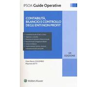 Contabilità, bilancio e controllo degli enti non profit. Con e-book