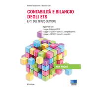 Contabilità e bilancio degli enti del terzo settore - 2019 - Magg