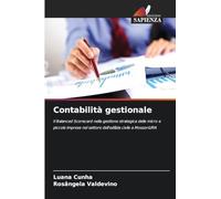 Contabilità gestionale: Il Balanced Scorecard nella gestione strategica delle micro e piccole imprese nel settore dell'edilizia civile a Mossoró/RN