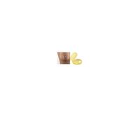 Medela Paracapezzoli Contact in Silicone, Design Morbido e Sottile, Senza BPA, 1 Confezione con 2 Paracapezzoli (20 mm) e Custodia