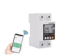 Contatore di energia intelligente 63A TUYA Smart Earth Leakage Over Under Voltage Protector Relay Device Switch Breaker Energy Power KWh Meter Protezione da perdite da sottotensione