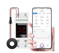 Contatore di energia intelligente Tuya Monofase 100A 50/60Hz Su Guida Din Contatore di Energia Intelligente Timer Consumo di Energia Monitor KWh Meter Wattmetro Protezione da perdite da sottotensione(