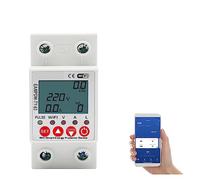 Contatore elettrico digitale 2P 63A TUYA APP WiFi Smart Circuit Dispersione Verso Terra Over Under Voltage Protector Relay Device Switch Breaker Energy Power KWh Meter