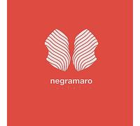 CONTATTO (N20 ANNIVERSARY EDITION)(LP rosso trasparente numerato 180 gr)