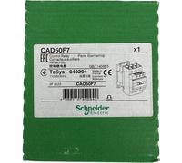 Contattore Ausiliario 110V 50/60Hz SCHNEIDER Electric CAD50F7