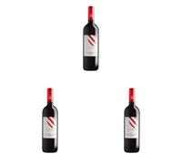 Conte Brandolini D'Adda Merlot 2019-750 ml (Confezione da 3)