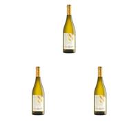 Conte Brandolini D'Adda Sauvignon 750 ml (Confezione da 3)