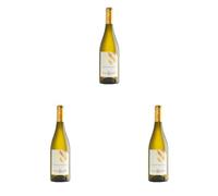 Conte Brandolini D'Adda Traminer, 750 ml (Confezione da 3)