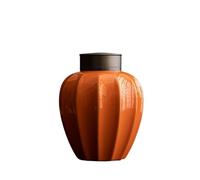 Contenitore Barattolo in ceramica for conservare il tè sfuso con doppio coperchio sigillato. Bellissimo contenitore for il tè, for caffè, zucchero, noci, erbe aromatiche, spezie. per la conservazione