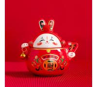 Contenitore Barattolo Tea Per Coniglietto Decorazione Del Coniglio