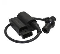 Contenitore CDI/bobina Piaggio 50/100 4tps... Zip/Liberty/Fly limitatore no limite