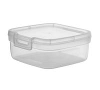 Contenitore Curver Snap Box con divisore