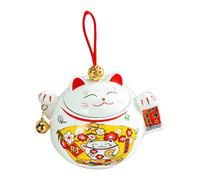 Contenitore Di Stoccaggio in Ceramica Barattolo Ceramico Ermetico