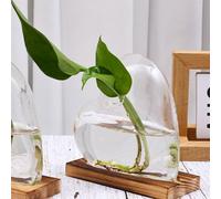 Contenitore di terrarium di vetro a forma di cuore a forma di vetro per un