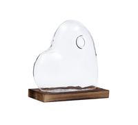 Contenitore di terrarium di vetro a forma di cuore per la scrivania