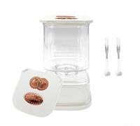 Contenitore ermetico quadrato Kimchi Jar in plastica, include separatore integrato per separare alimenti secchi e umidi durante la fermentazione