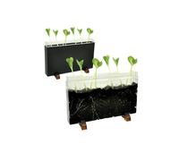 Contenitore Esplora il sottosuolo - 30 x 19 x 4 cm - Cwr