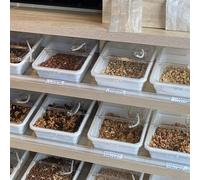 Contenitore espositivo per pane alle noci per negozi di dolciumi commerciali