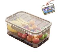Contenitore for ghiaccio da esterno, contenitore for picnic da esterno con divisorio for drenaggio, contenitore for snack con borsa del ghiaccio e maniglia, contenitore refrigerato portatile for campe