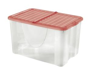 Contenitore in plastica Tontarelli Box Dodo`s 34x56,5x38 cm trasparente