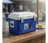 Contenitore Isolato 35L Isolata Box Frigo Grande senza Odore per Chiosco