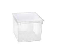 Contenitore multiuso TERRY Light Box 52 XXL - 50 L trasparente - 37,6x52x31 cm -
