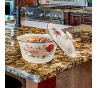 Contenitore Olio Ciotole Smaltate Coperchio Gli Stimelli Della Cucina Smalto