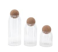 Contenitore per Alimenti in Vetro con Coperchio Ermetico in Sughero, Barattolo Cilindrico Decorativo Moderno per Caffè, Spezie, Caramelle, Sale, Biscotto Bottiglia per Terrario Fresco