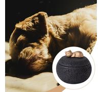 Contenitore per Ceneri in Cemento, 350 Ml, con Coperchio E Base Stabile