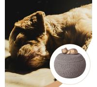 Contenitore per Ceneri in Cemento, 350 Ml, con Coperchio E Base Stabile