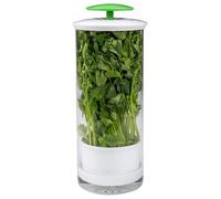 Contenitore per erbe aromatiche fresche con ventilazione, contenitore salva-erbe, per coriandolo, menta, prezzemolo, asparagi