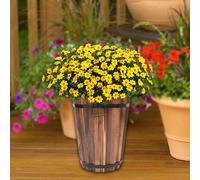 Contenitore per fioriera in legno a forma di secchio e barile rustico per