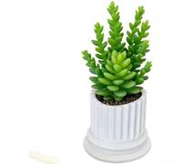 Contenitore per piante grasse a colonna romana per uso interno ed esterno, realizzato in materiale smaltato, adatto per casa, ufficio, appartamento e decorazione patio