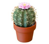 Contenitore per saliera e pepe, base per sale e pepe | Contenitore per sale e pepe dal design a forma di cactus, a prova di perdite, antipolvere, adatto per cucinare gourmet, questo shaker migliora
